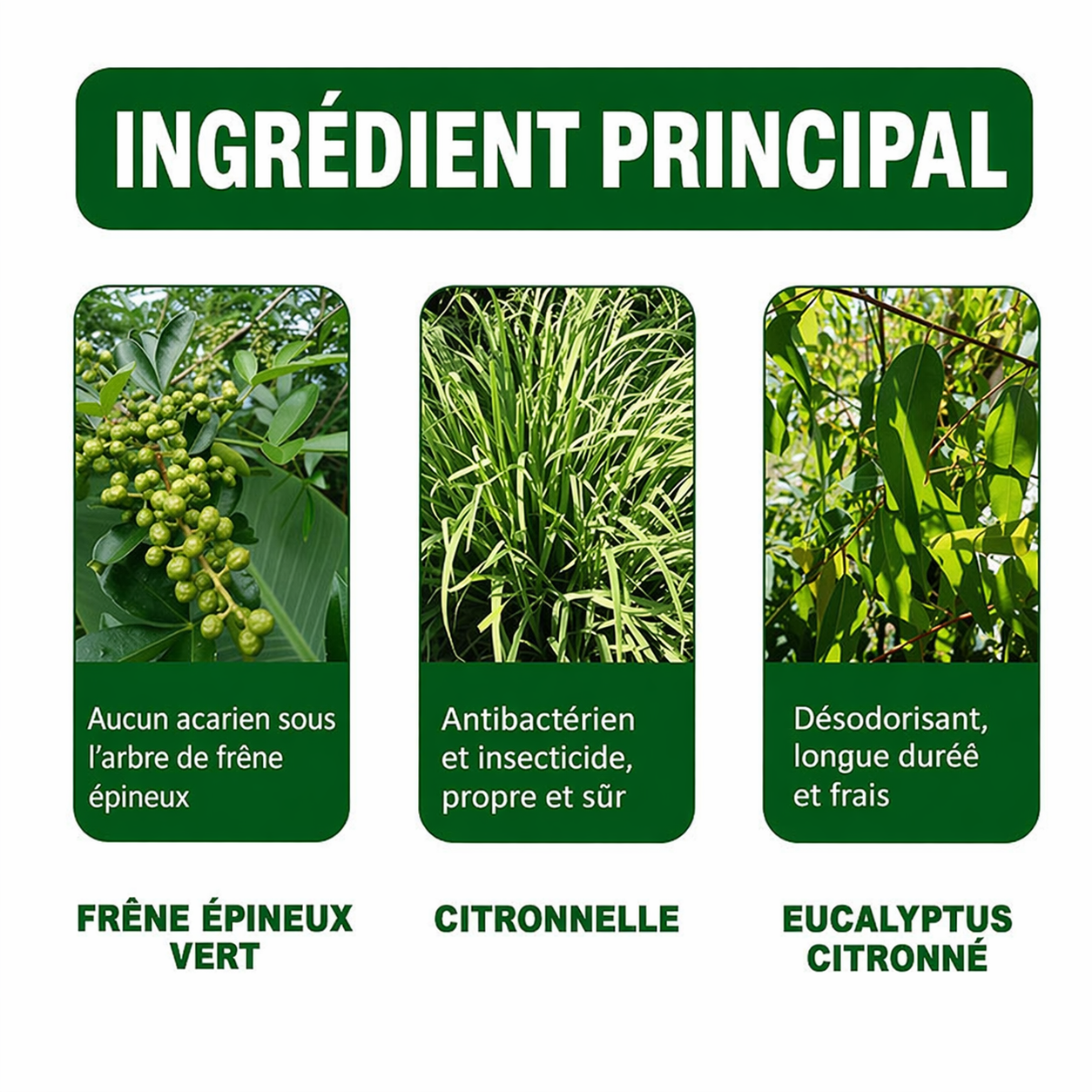 Spray Insecticide Anti-Acariens – Dormez Enfin Serein