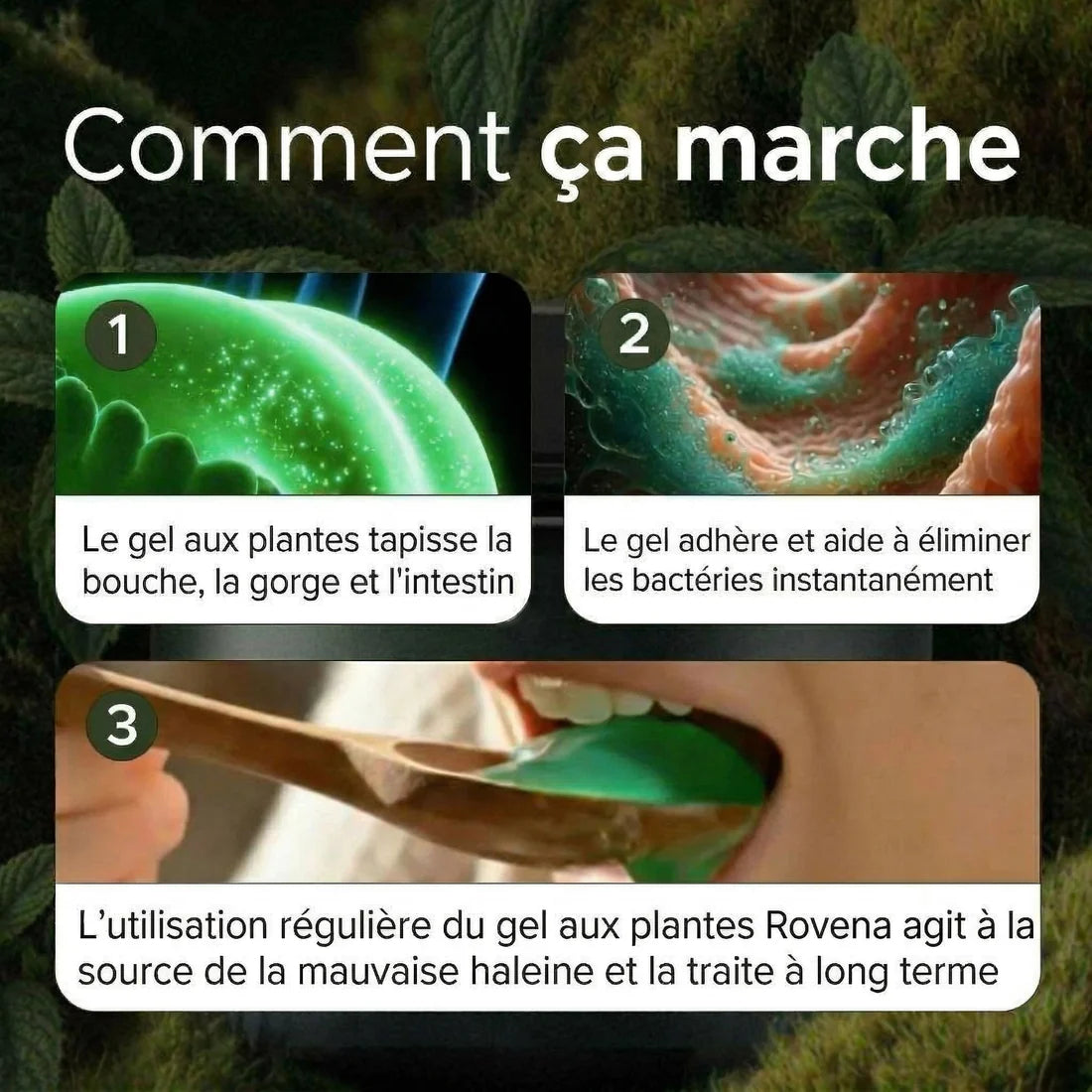 Complément Herbal pour le Contrôle des Odeurs Internes – La fraîcheur qui vient de l’intérieur