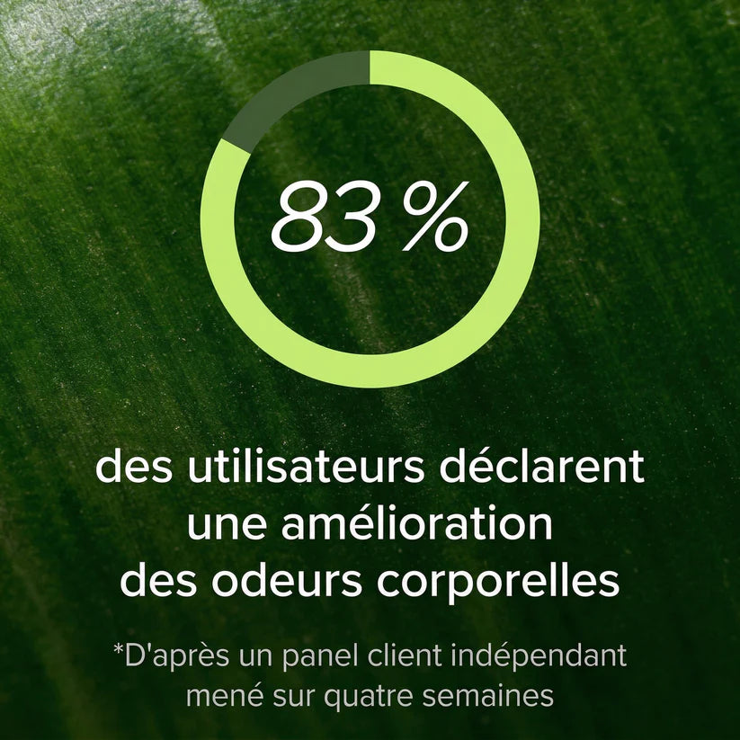 Complément Herbal pour le Contrôle des Odeurs Internes – La fraîcheur qui vient de l’intérieur
