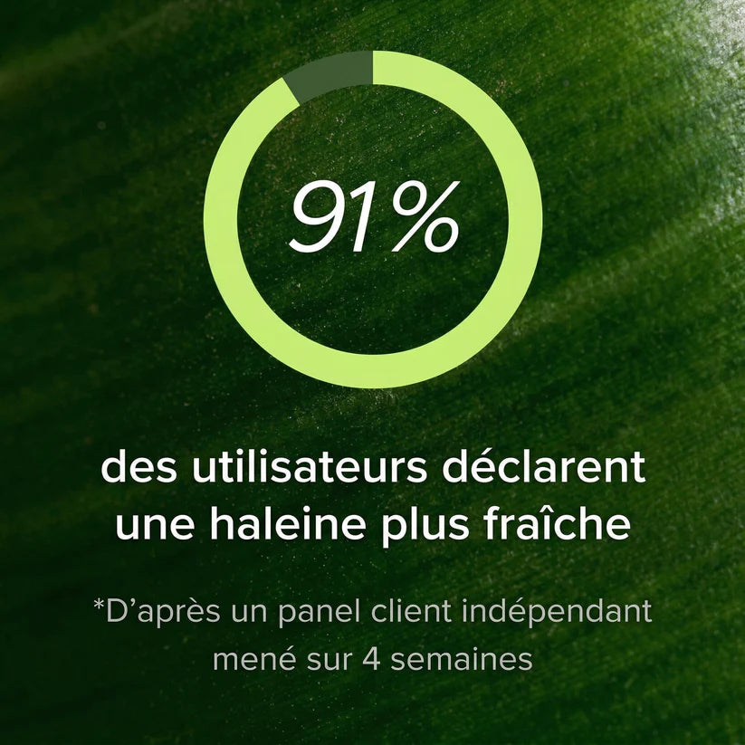 Complément Herbal pour le Contrôle des Odeurs Internes – La fraîcheur qui vient de l’intérieur